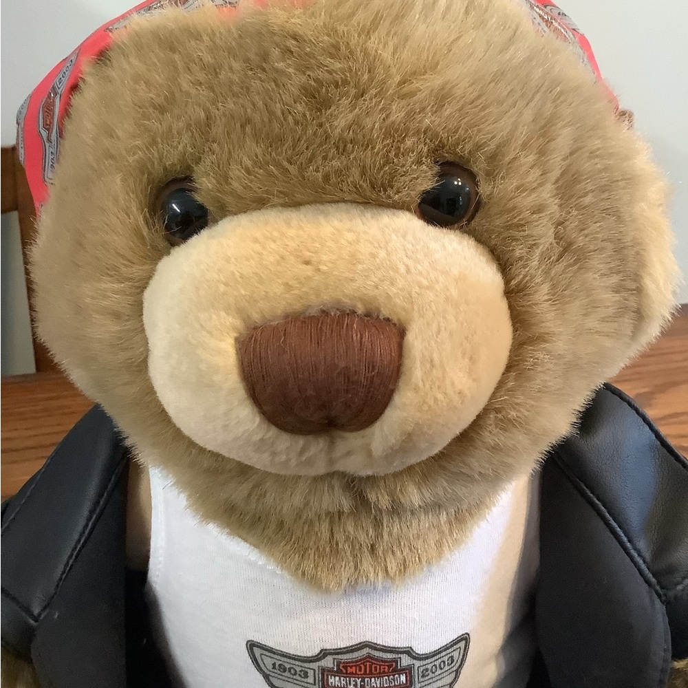 Harley-Davidson Plush Bear 17” - Picture 3 of 6